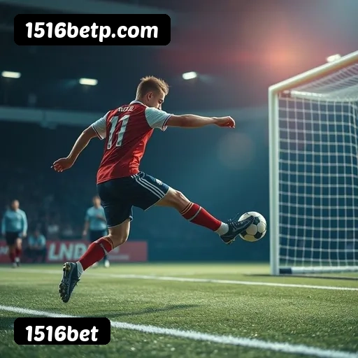 Níveis do programa VIP da 1516bet